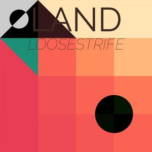 Bucatini Saltimbocca