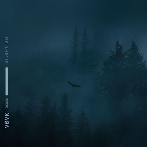 Silentium (slowed + reverb)