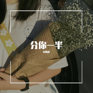 分你一半（翻自 叶恨水） 伴奏