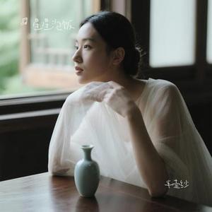 半壶纱 (Remix)