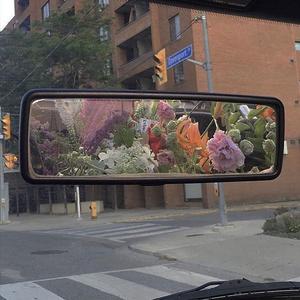 关于你和未来的梦