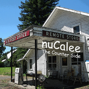 The Counter Side