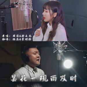 昙花一现雨及时