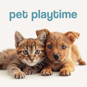 Thinking Outside The Box