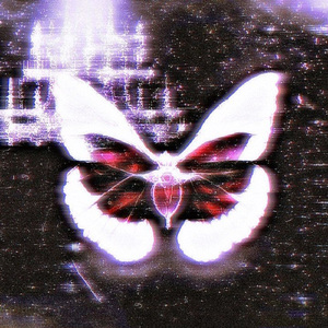 Ночью мы звезды