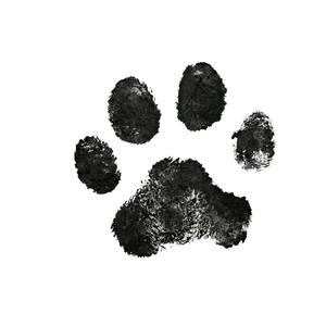 힘들때 부르는 노래