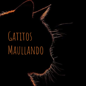 Gatitos Maullando