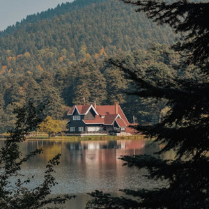 夏日倾情（适合睡觉时候播放的轻音乐）