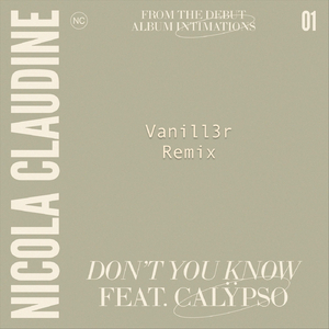 Don't You Know (Vanill3r Remix) [feat. Calÿpso]