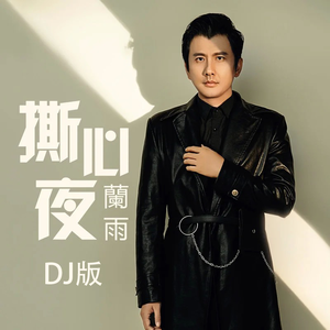 撕心夜（DJ版伴奏）