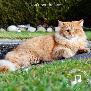 Picking Too Many Roses