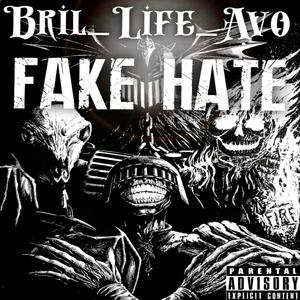 FAKE HATE