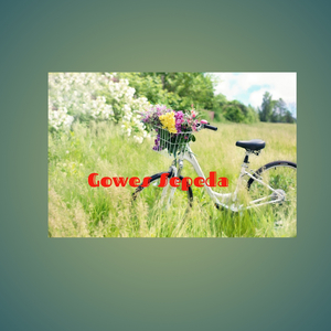 Gowes Sepeda