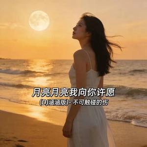 月亮月亮我向你许愿 (DJ涵涵版)
