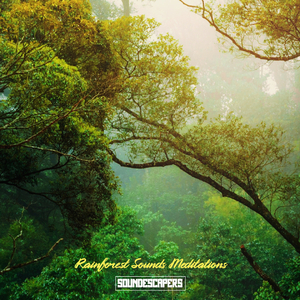2 Min Rainforest Sounds Meditation