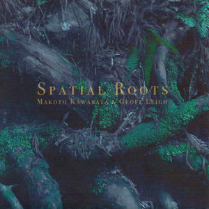 Spacial Roots, Pt. 2