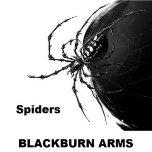 Spiders