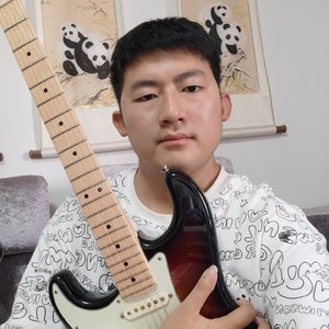 一个男人的悲歌