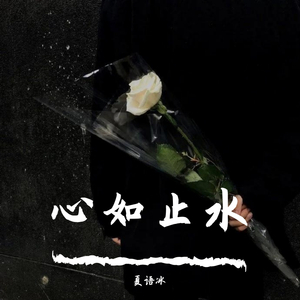 心如止水(DJ女版)