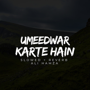 Umeedwar Karte Hain Lofi