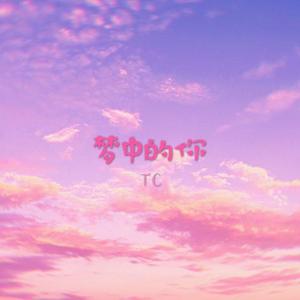 梦中的你