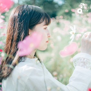 8 月の花火に君を思う (INSTRUMENTAL)