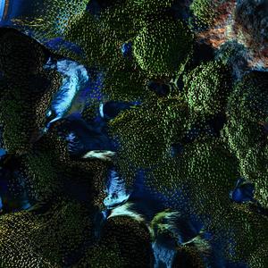 Azile (feat. Spaceman Paps & Drisco)