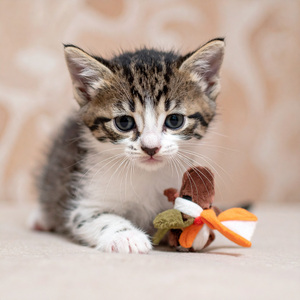 Un Suave Roce Para Mostrar Cariño