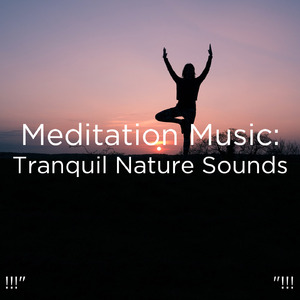 편안한 물 소리