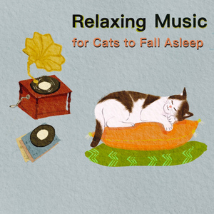 움직이는 은하수 (하프) (밤풀벌레소리)