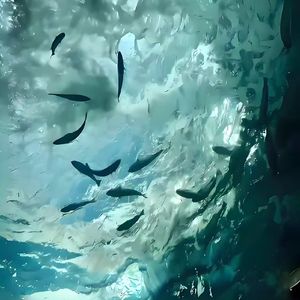 其实我愿意随你去