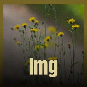 Img