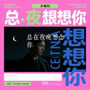 总在夜晚想念你