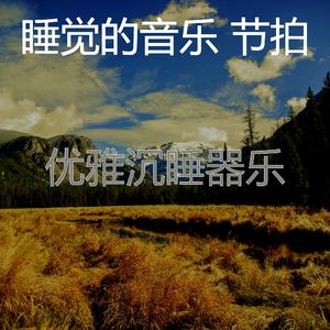 一尘不染睡眠印象数