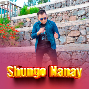 Shungo Nanay