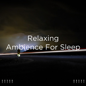 호우 잠