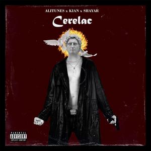 Cerelac