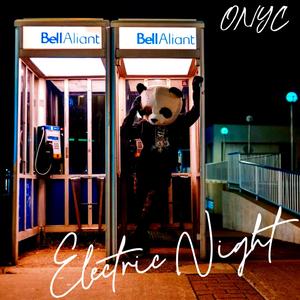 Electric Night (feat. Was & Niktech) (Remix)