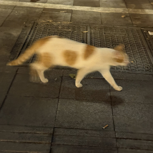 这首歌想唱给你听 活动#AI创作大赛2025最后一首情歌赛季