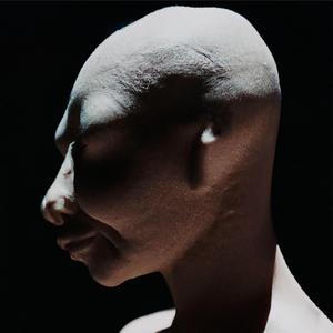 Pakal (El Astronauta de Palenque)