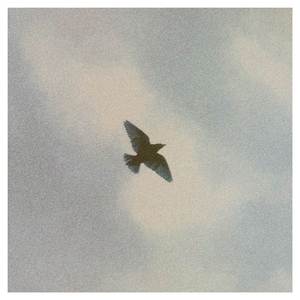 Dünyanın Suratında Bıraktığım Yara İzleri