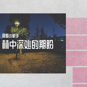 一首情歌（翻自 庞宁）