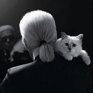 归（Cover 龙井说唱）