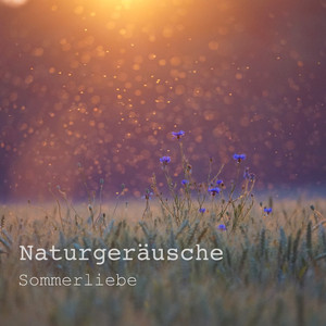 Waldlichtungen