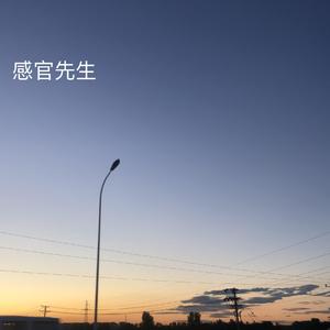 selwen-感官先生(DJ,XY Bootleg remix）（DJXy_official remix）