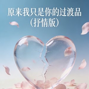 过渡品（抒情版）