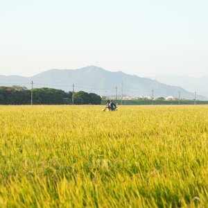 你值得被坚定选择