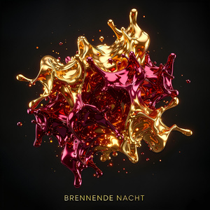 Brennende Nacht