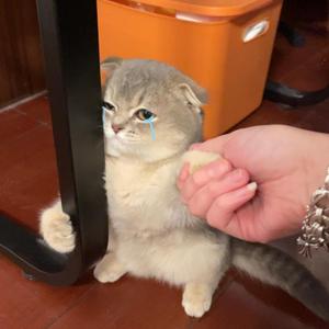 可是我现在依然不太会转弯