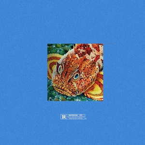 Bottle Down (Prod. @pregame)